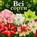 Каталог всіх сортів